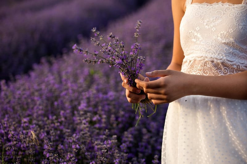 Outdoor Gardening