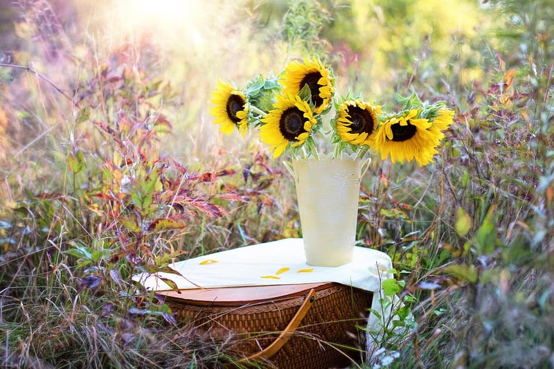 Flower Pruning
